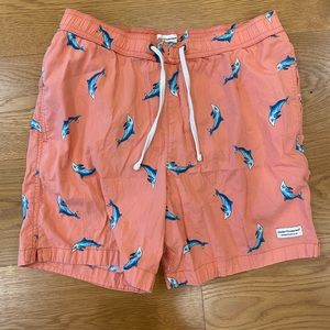 modern amusement swim bottoms
